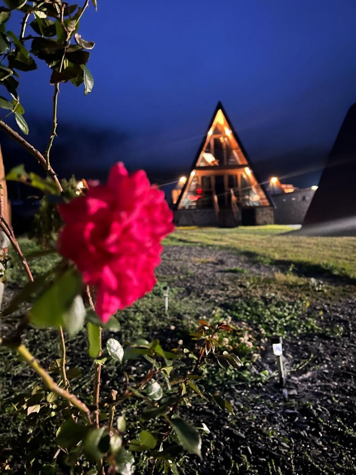 Sanseco Cottage Kazbegi Dış mekan fotoğraf